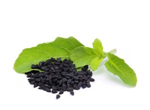 Sestavina CBD je črna kumina